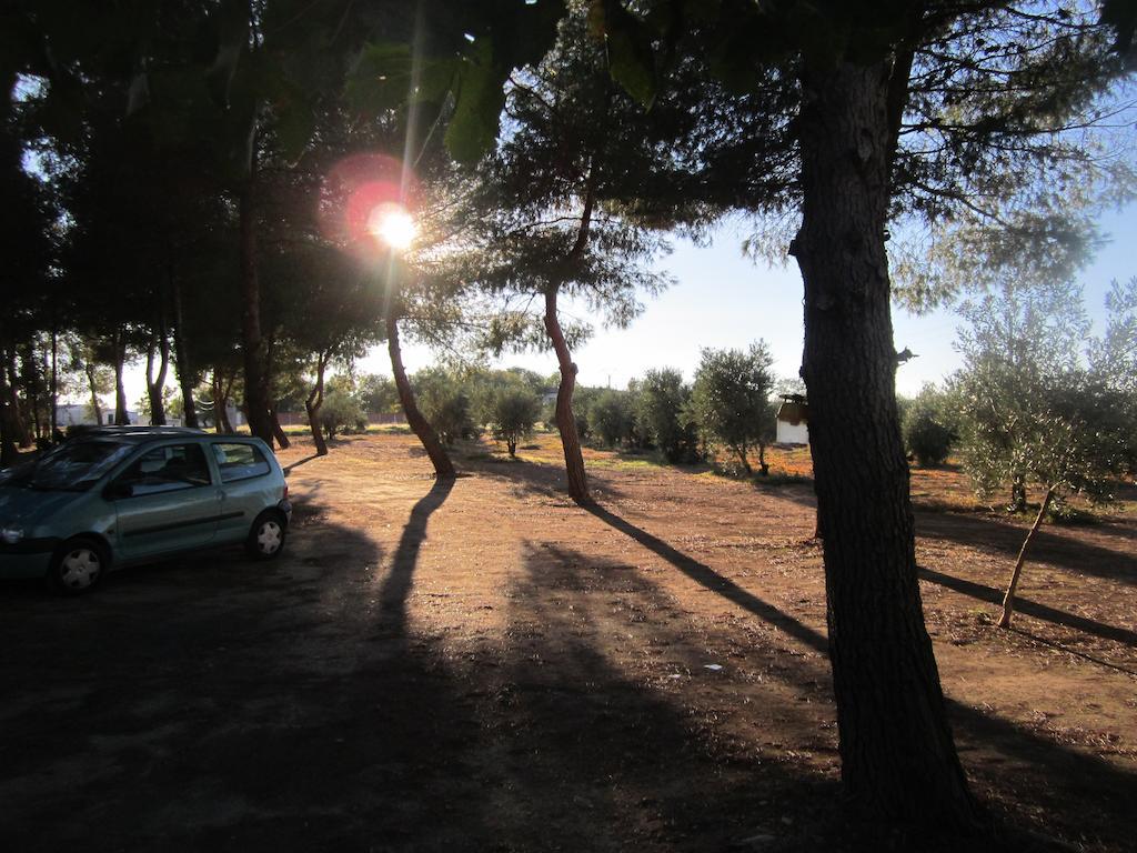Apartamentos Rurales Las Caleras อัลมาโกร ห้อง รูปภาพ
