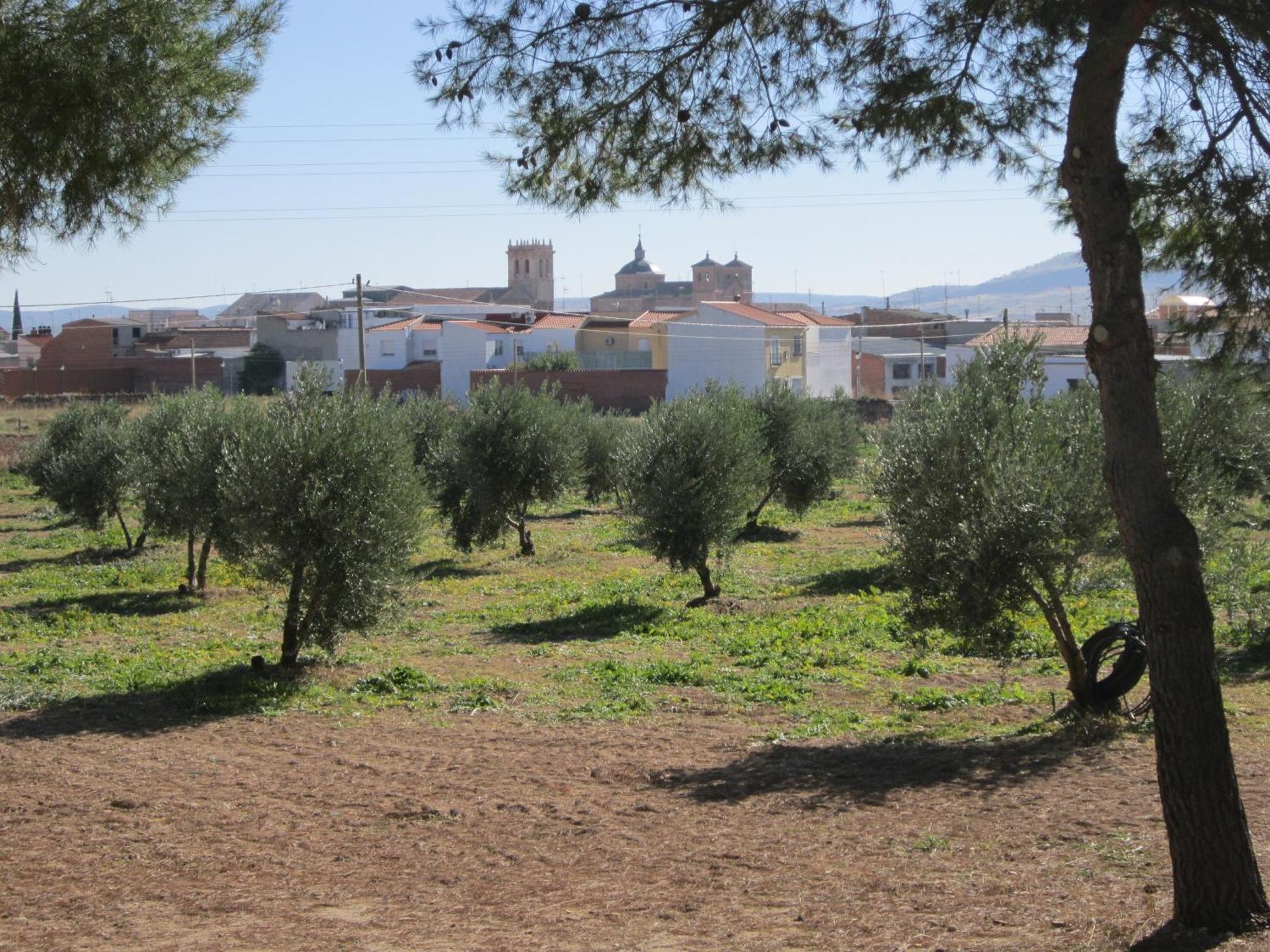Apartamentos Rurales Las Caleras อัลมาโกร ภายนอก รูปภาพ