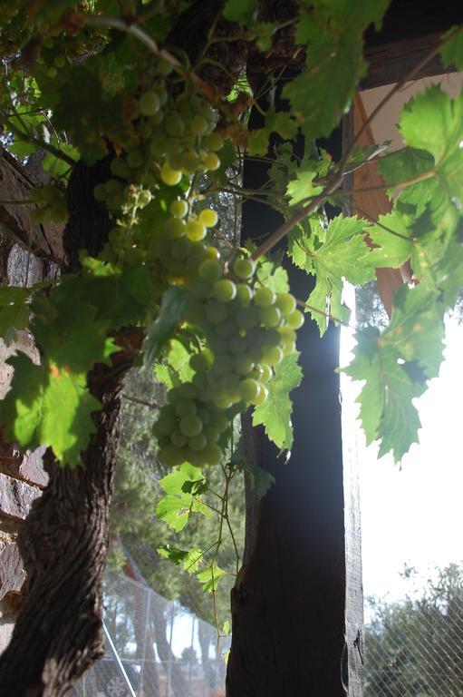 Apartamentos Rurales Las Caleras อัลมาโกร ภายนอก รูปภาพ